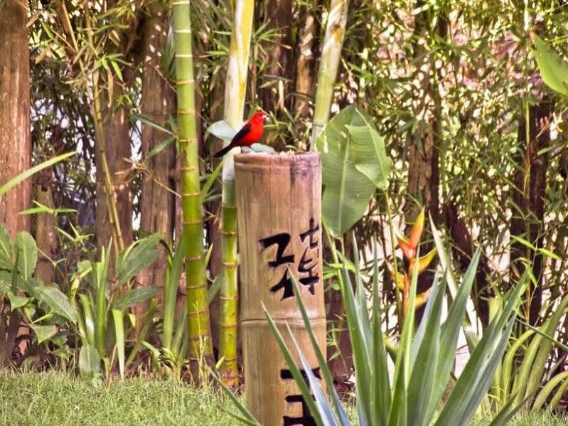 Pousada Bambu Itacare Luaran gambar